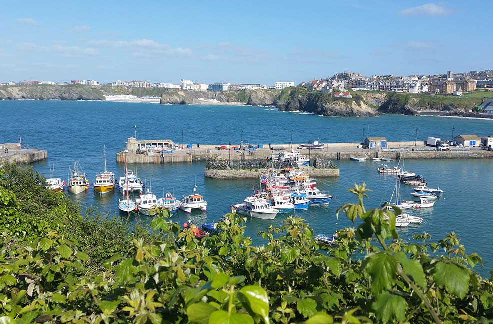 Newquay harbour by Dune Dreams