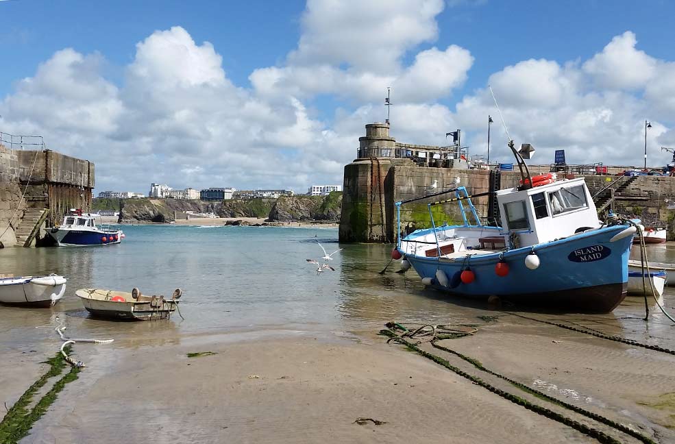 Newquay harbour by Dune Dreams