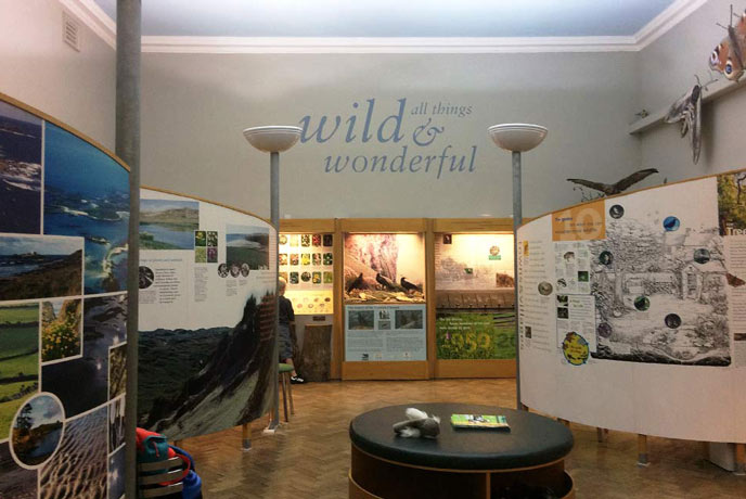 Wild and Wonderful in Royal Cornwall Museum