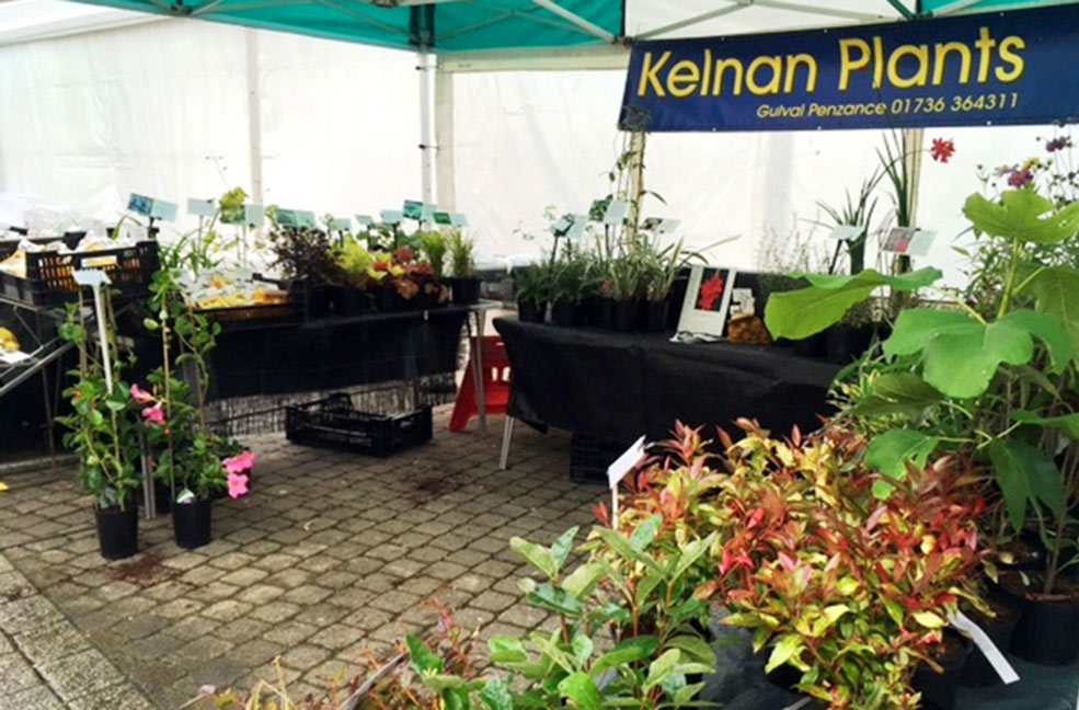 Kelnan Plants Truro farmers market