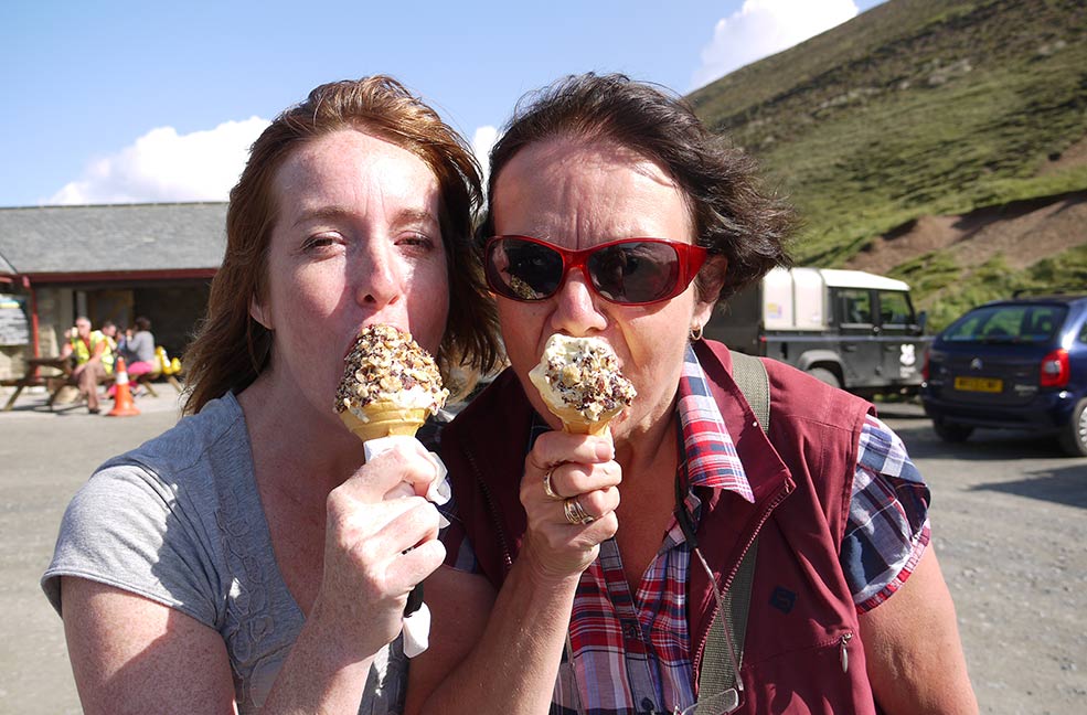 'The Hedgehog' icecream