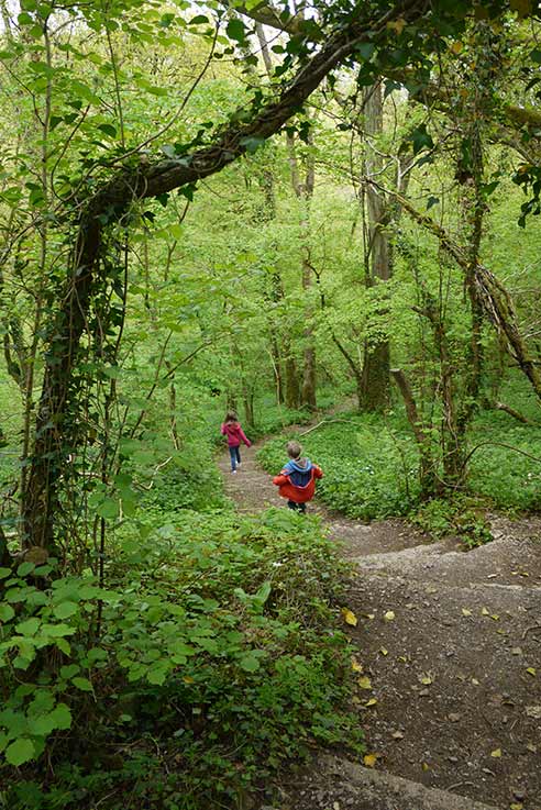 Ebbor Gorge