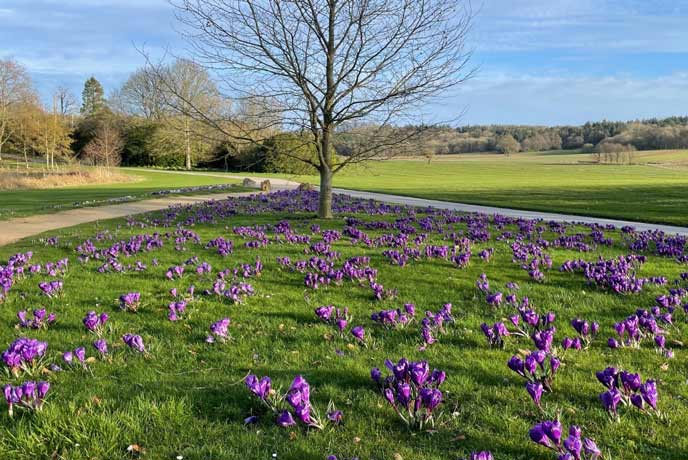 The gardens at Sherborne