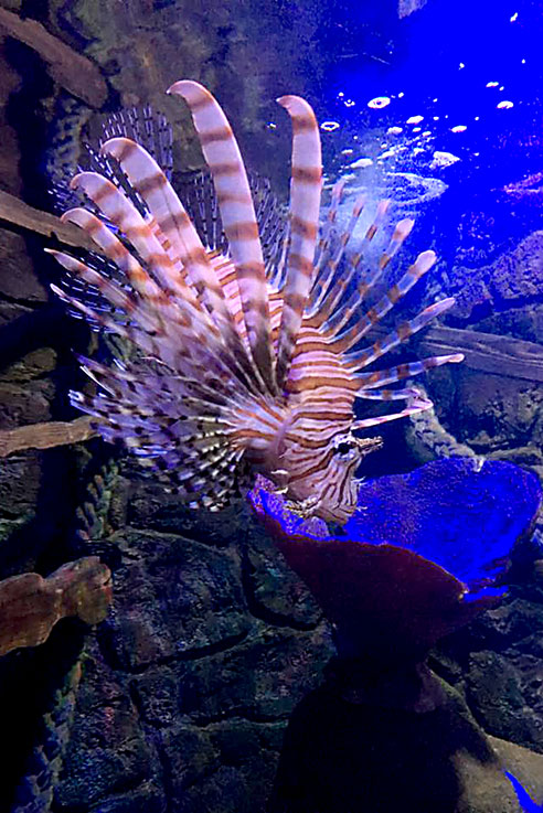 Sealife centre Weymouth