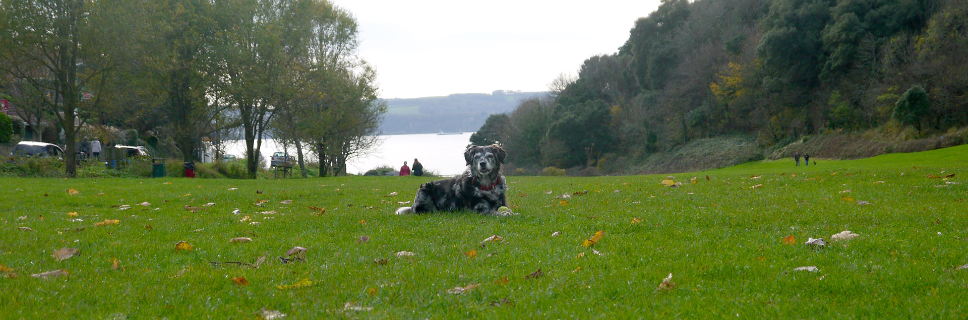 Little Theatre circular dog walk in Devon