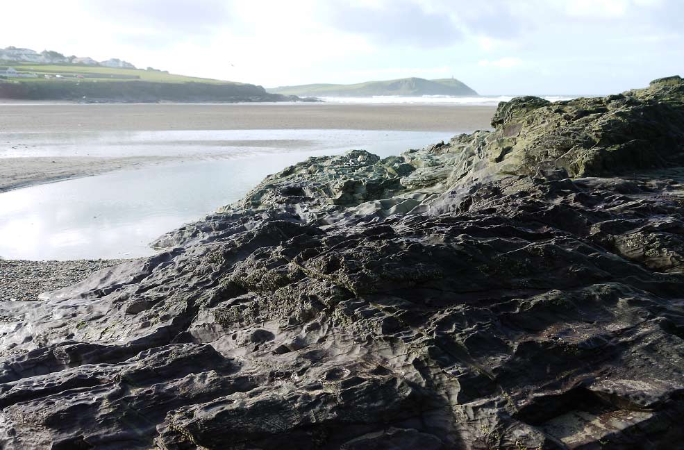 Polzeath winter dog walk in Cornwall