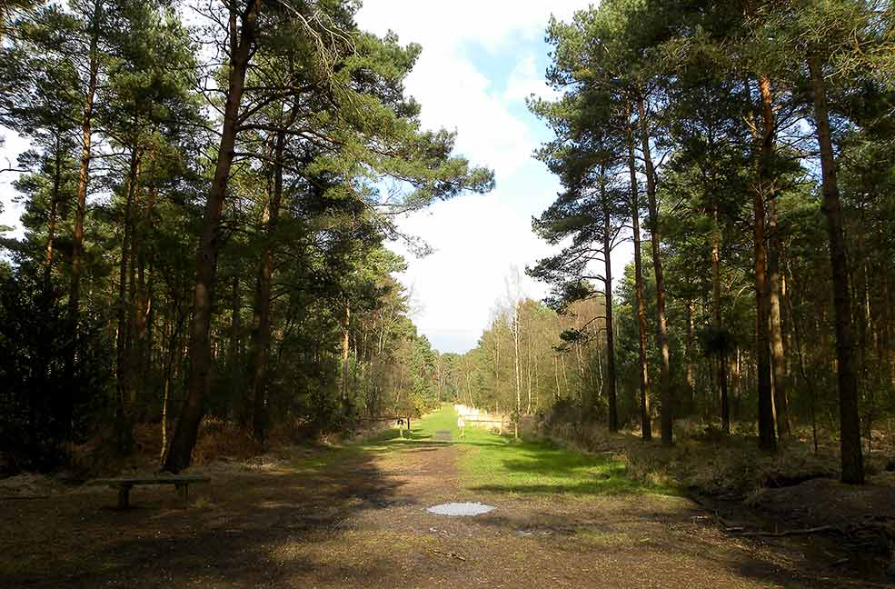 Moors Valley Country Park