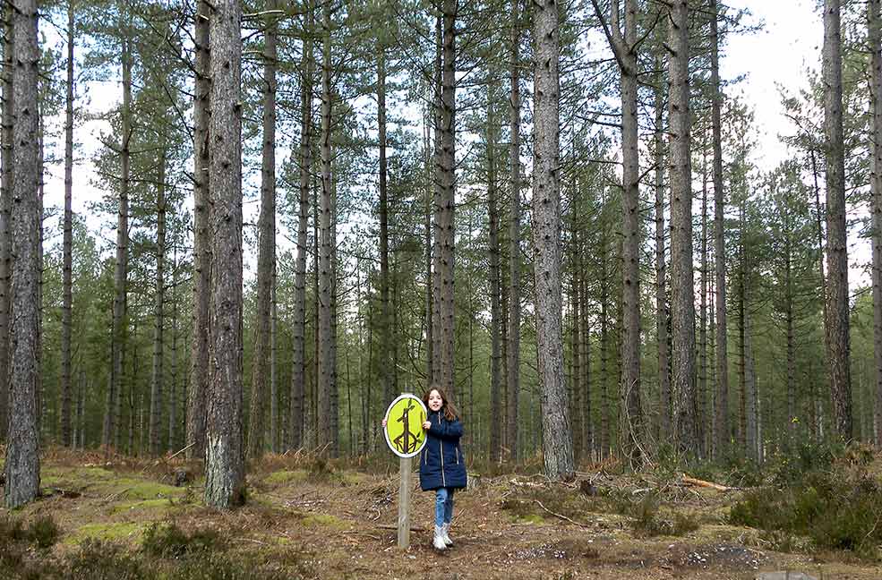 Woodland trails in Moors Valley