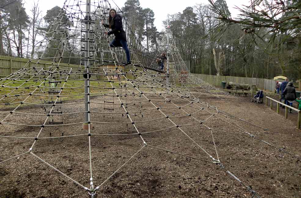 New Forest play park