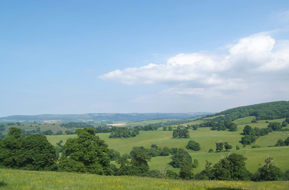 Quantock Hills