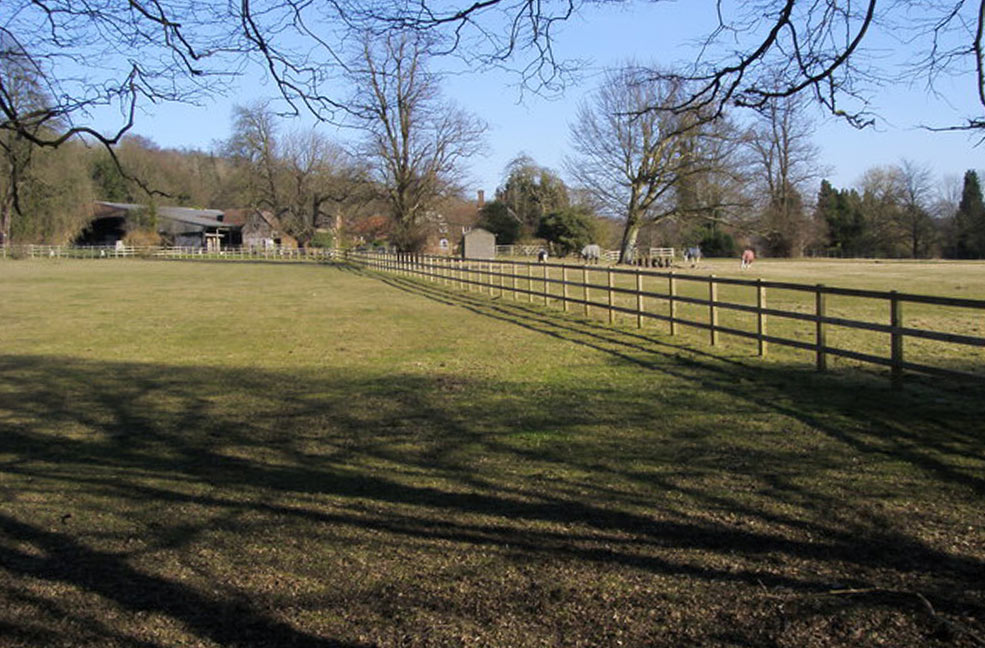 Longdown Activity Farm