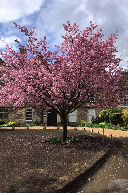 Winchester cathedral grounds