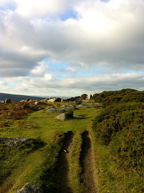 Gorgeous moorland walk