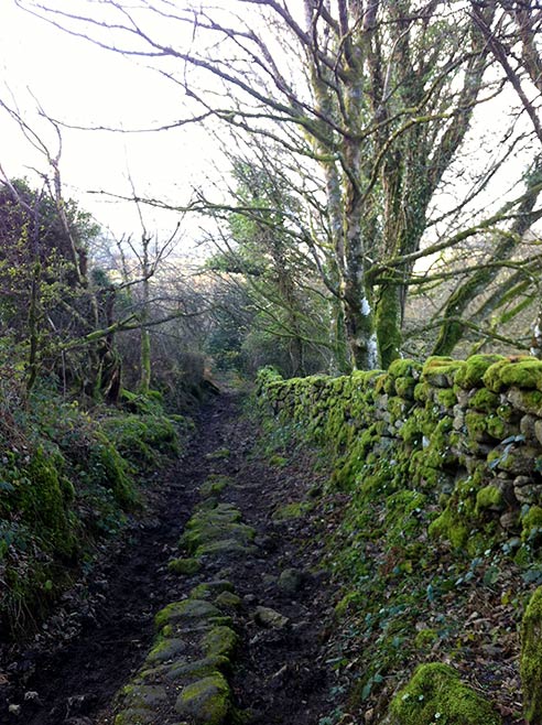 The walk back from the moors