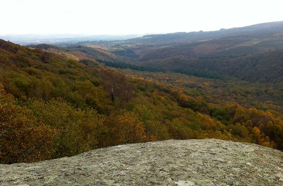 Lustleigh Cleave Loop Walk on Dartmoor