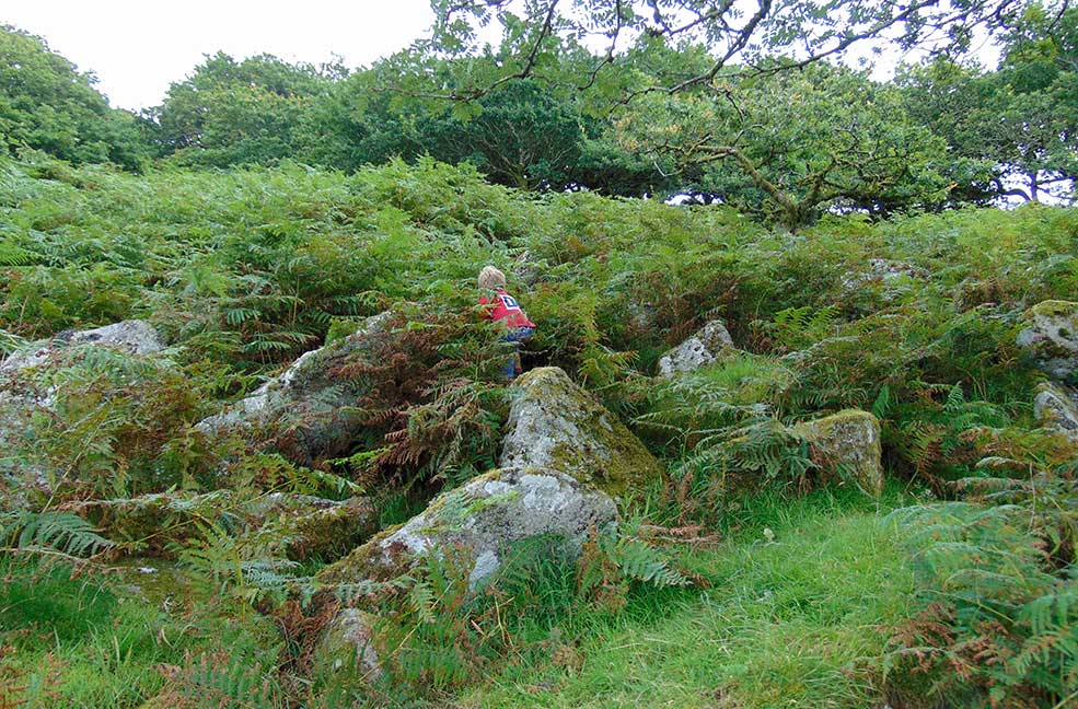 Adventuring through the shrubs of Devon's woodland.