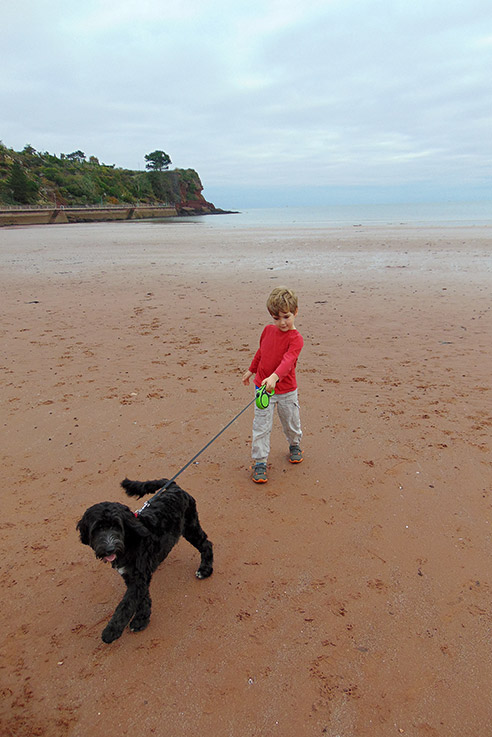 Dog walking hot sale beaches