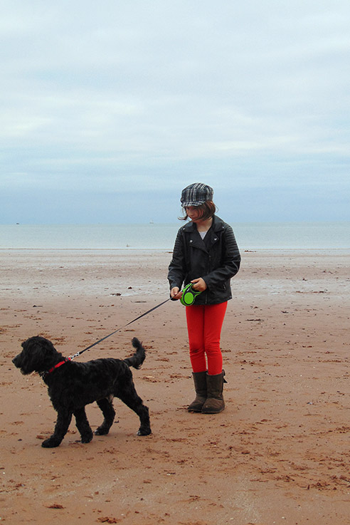 Dog walking on the beach