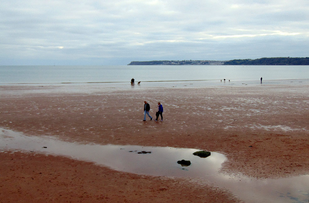 Paignton dog friendly beach