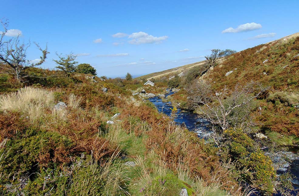 Dartmoor