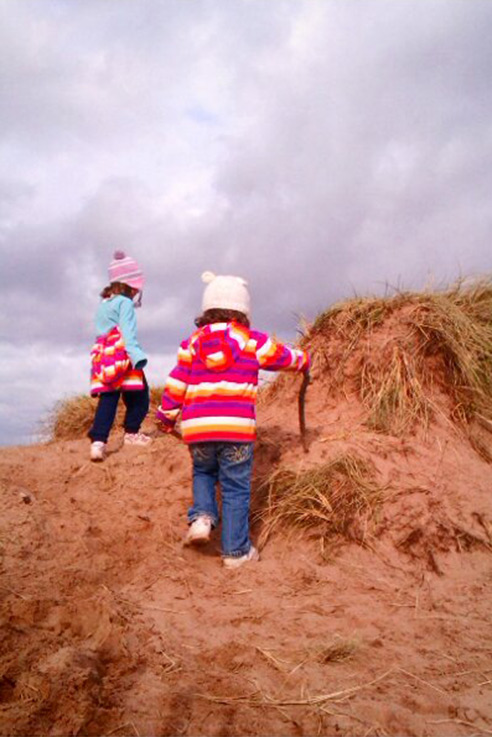 Dawlish dunes