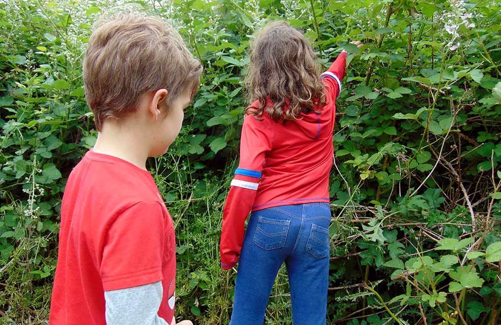 Foraging is a great way to get kids enjoying the Great Outdoors.