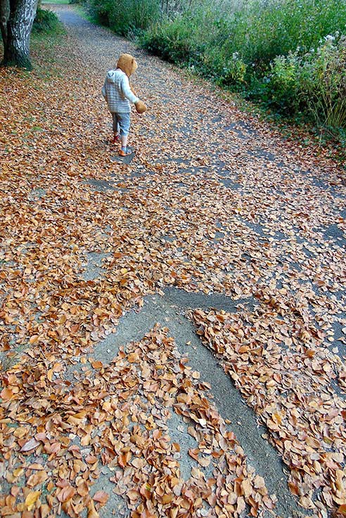 Use the space around you to leave clues for a fun game of hide and seek in the forest.