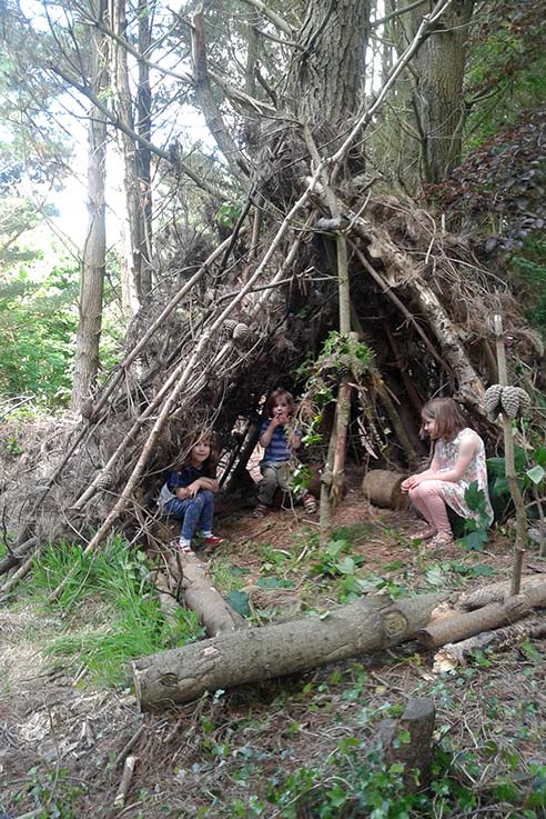 Den building in the forest