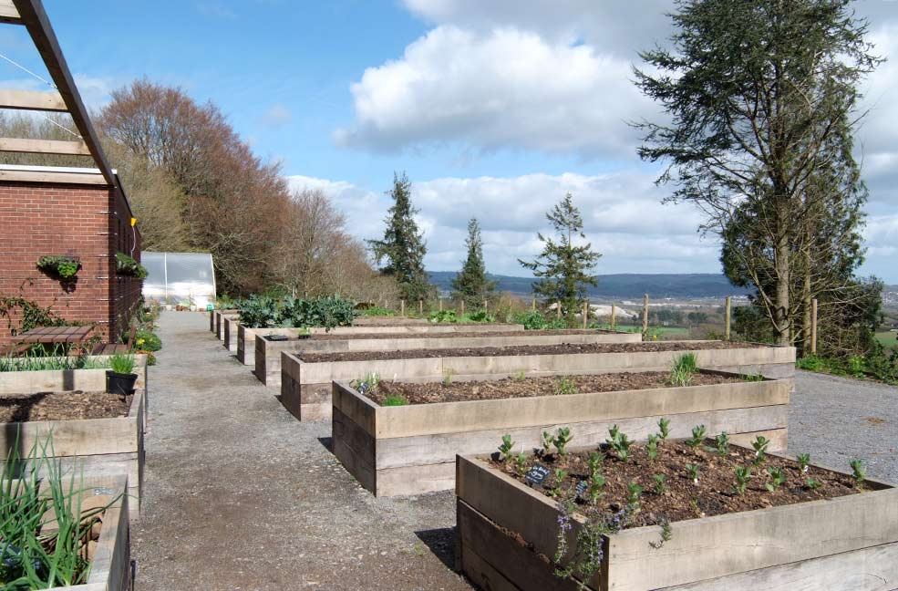 Seale-Hayne veg garden