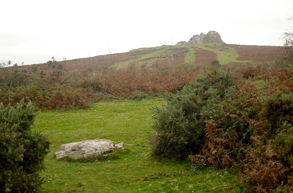 Newton Abbot Dartmoor tor