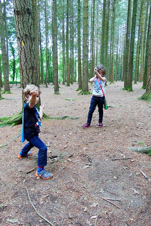 Newton Abbot woodland walk