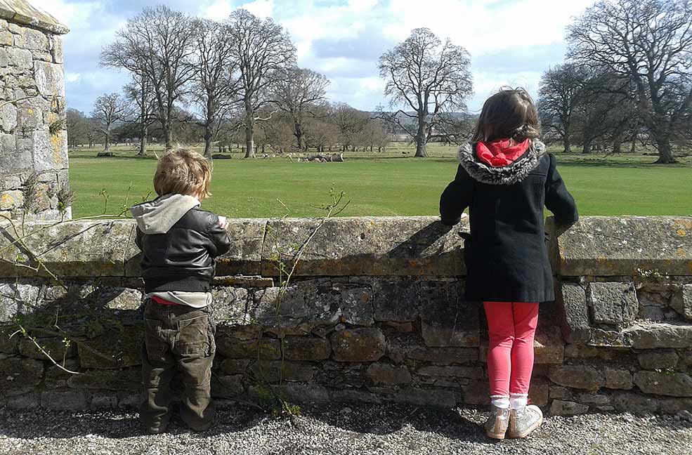 Powderham Castle family day out