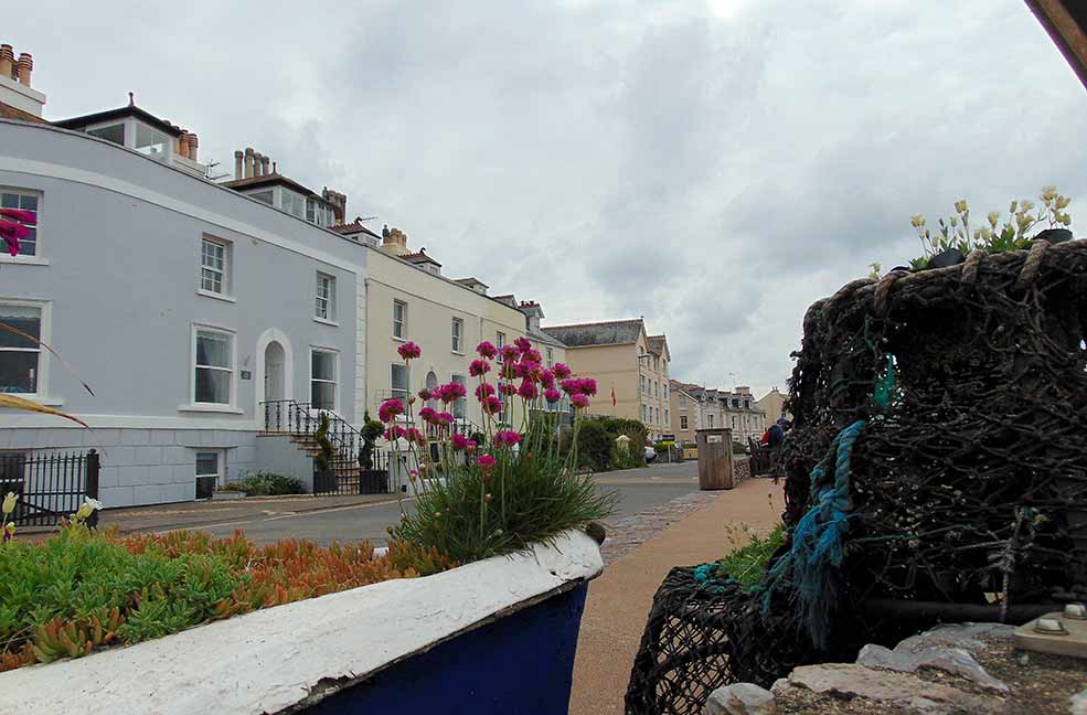 Shaldon sea wall