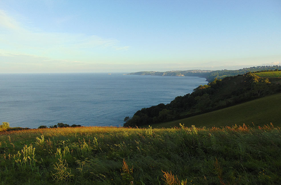 Shaldon sea walk view