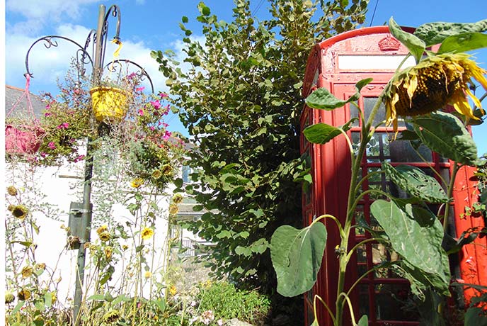 The traditional red phone box decorated with flowers in Stoke Gabriel.