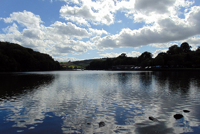 The Mill pond is a peaceful place to walk around on your visit to Stoke Gabriel in Devon.