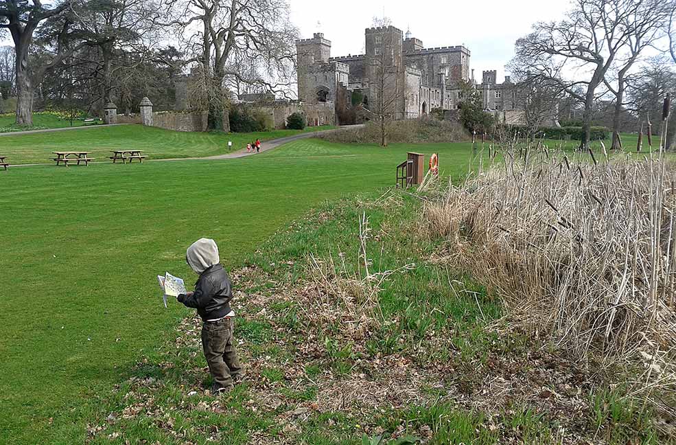 Powderham castle