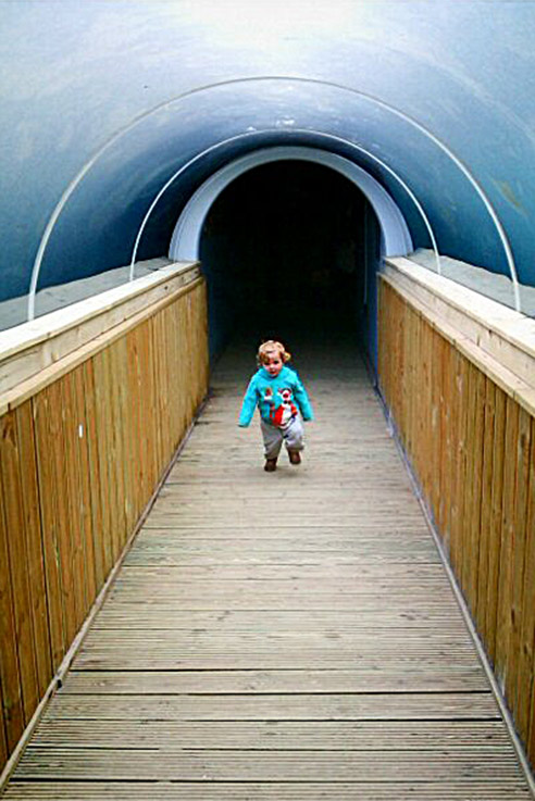 Torquay Living Coasts