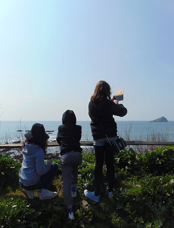 An iconic view over to the Mewstone, a small, grassy rock set away from the edge of the coast at Wembury.