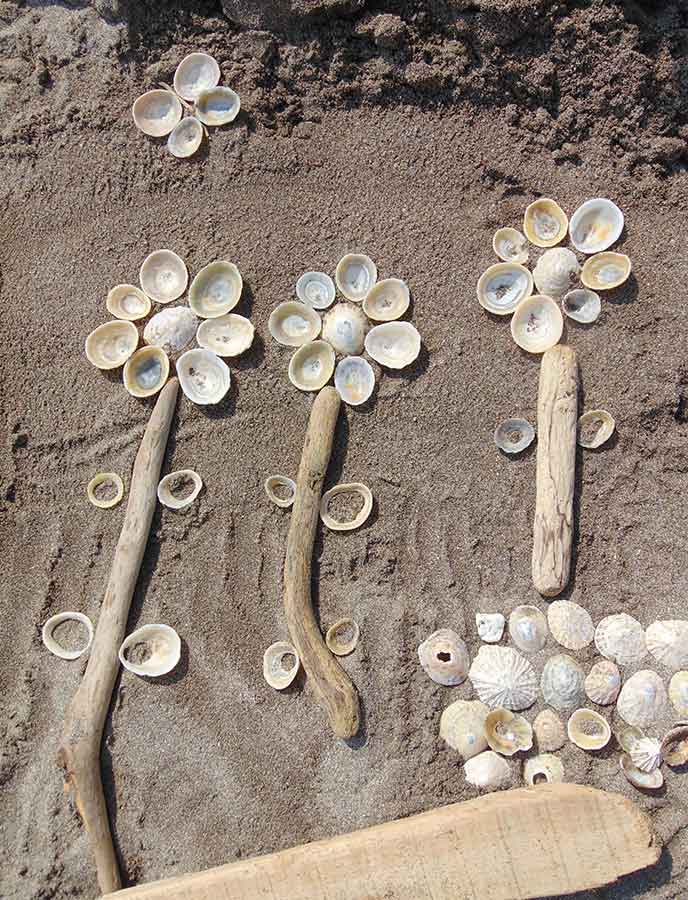 Shell pictures in the sand at Wembury in Devon.