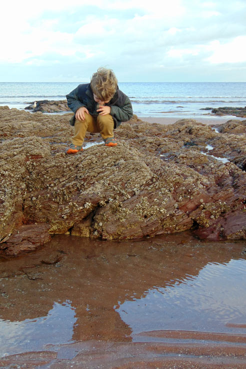 Rock pooling