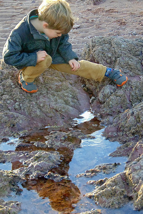 Exploring rock pools