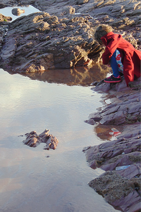 Rock pooling