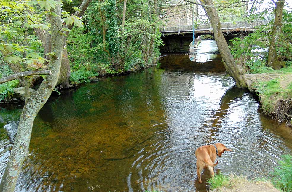 Bovey Travey river