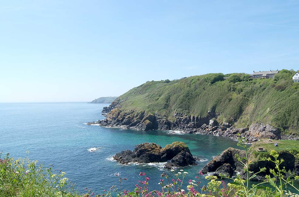 Cadgwith coast