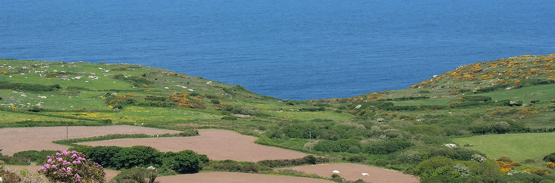 Winter walks in Cornwall