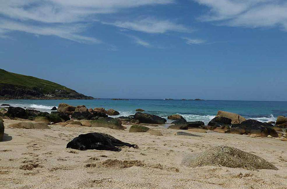 Portheras Cove with the black dog