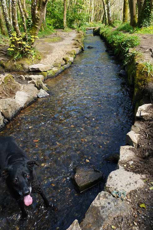 A cool down on a long walk