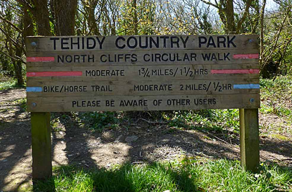 Tehidy Woods