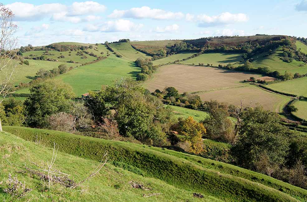 Cadbury Iron Age fort